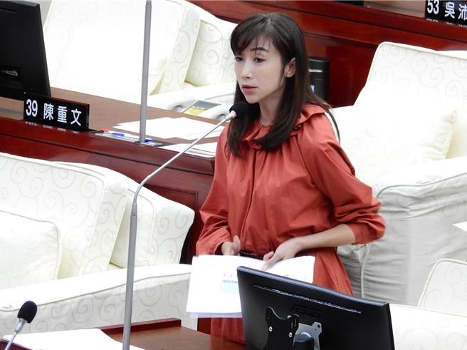 民進黨台北市議員許淑華。（台北市議員許淑華提供／劉彥宜台北傳真）