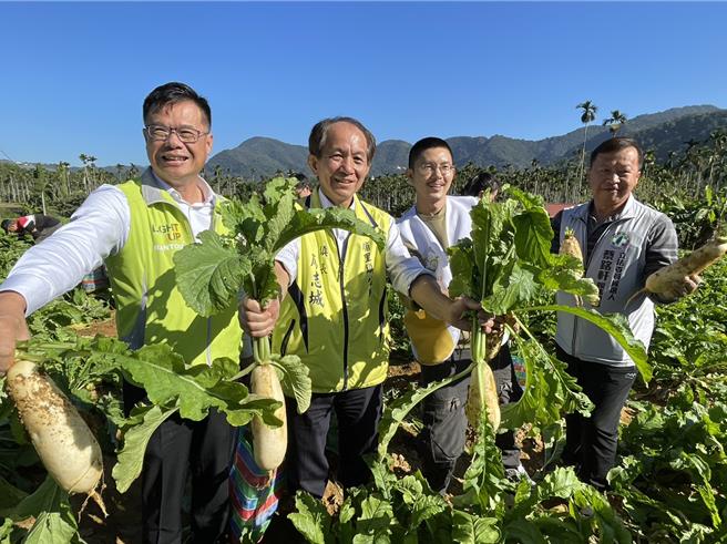 埔里千人拔萝卜活动地点超保密，埔里镇长廖志城22日公布契作萝卜田位于中台禅寺武术馆对面，26日上午9时半开拔。（杨静茹摄）