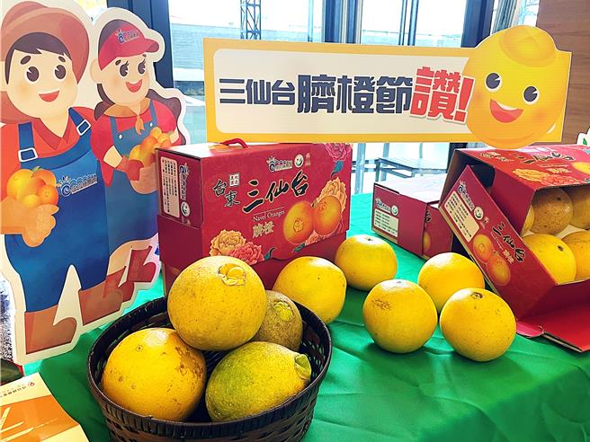 台東成功鎮以旗魚、臍橙聞名，每逢11月正是嘗鮮的產季，今年「東海岸旗魚季」及「三仙台臍橙節」將於25日登場。（蕭嘉蕙攝）