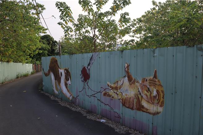 竹東社宅東林好室地號為仁愛段688號，地方希望暫停蓋社宅維護林業景觀及居民記憶。（邱立雅攝）