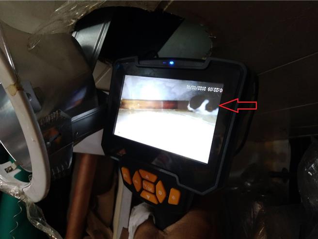 動保員用蛇管攝影機確認小貓在夾層裡的位置。（新北市動保處提供）