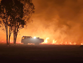 野火危害20年多來第2糟 歐盟提「森林監測法」