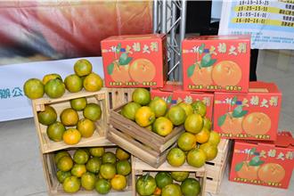 苗栗县三湾乡「三湾EAT桔棒」柑橘节即将登场