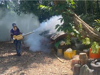 雲林登革熱降溫？23日僅新增1例「在這一鄉」