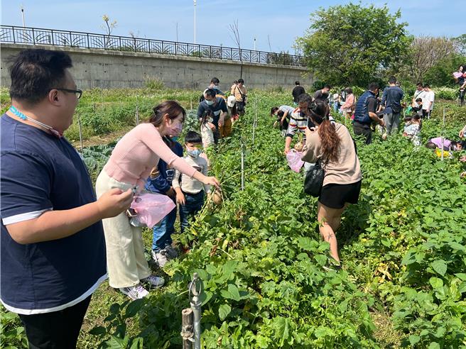 桃园市大园区阳荣休閒农场自产自销水果与蔬菜，让游客体验从田园到餐桌，搭配客家独特料理，满足饕客味蕾。（大园区公所提供／蔡明亘桃园传真）