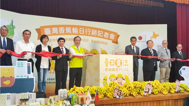 据农业部统计，我国今年前十月香蕉外销至日本达1492吨、相较2020年同期近乎砍半。（林良齐摄）