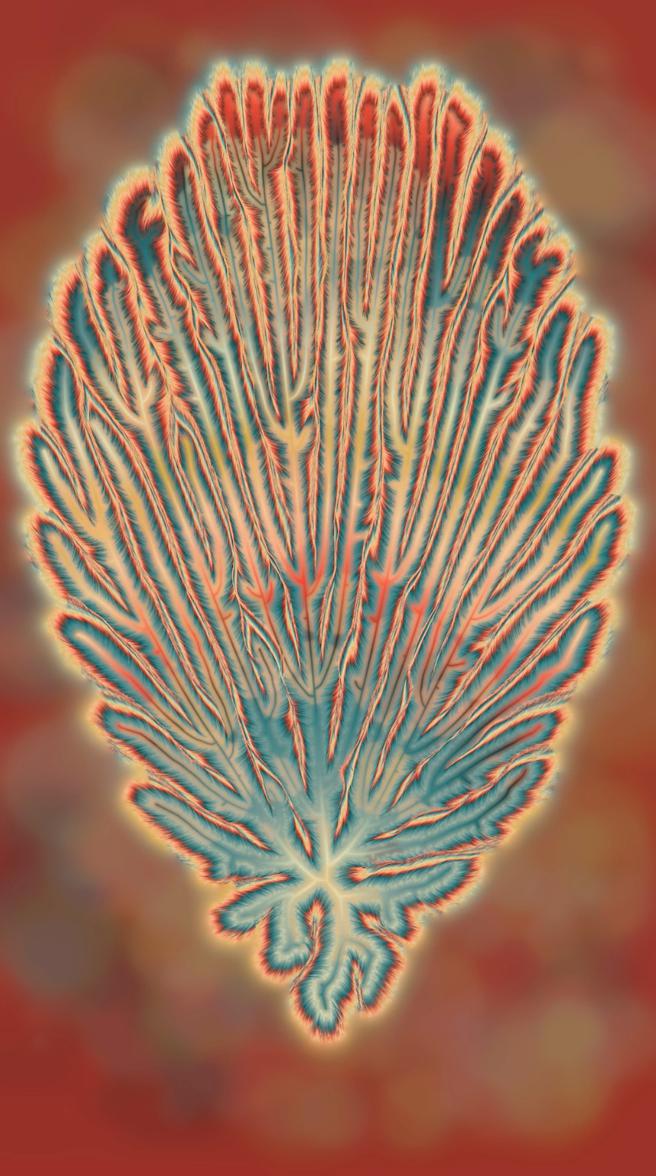 明天的愿景：透过数位艺术的镜头一窥《Gucci Cosmos》，Alexis Andre的动态作品《诞生》。（摘自GUCCI Art Space）