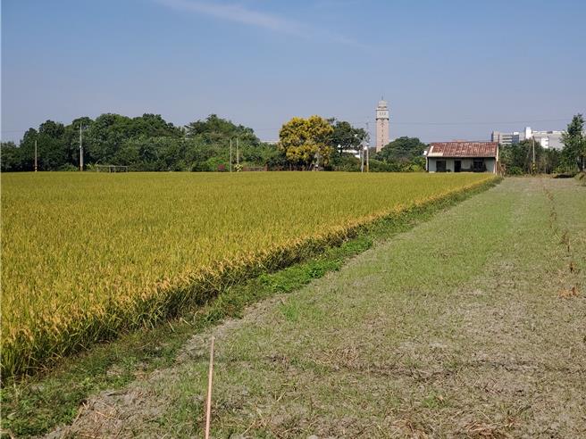 云林科技大学（塔楼处）南边的台糖地、私有地、公有地234公顷将成为电动车产业园区。（周丽兰摄）