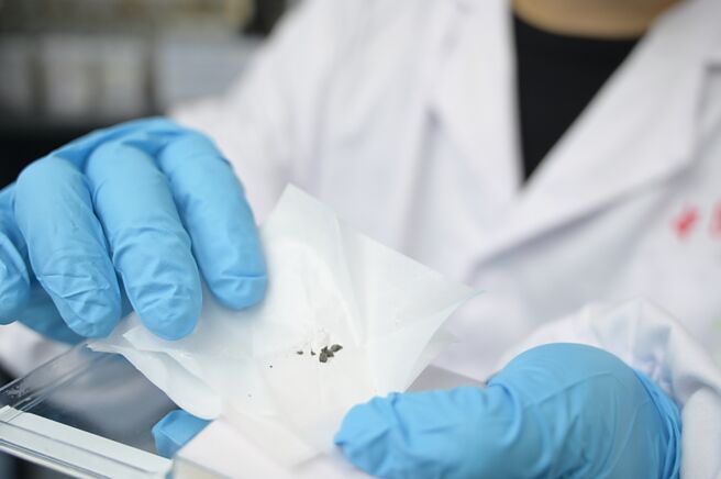 近期中國科學技術大學團隊運用智慧型機器人「機器化學家」，採用火星隕石成功研製出新型催化劑。（中新社）