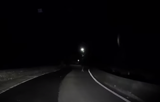夜間行經林口山道！他驚見「山神獸」 網笑：至今仍在眼神搏鬥