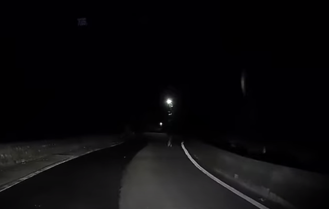 有驾驶晚间行经林口山区道路时，惊见有黑影窜动，便减慢速度缓缓靠近。（ 图／ 翻摄自「WoWtchout-地图型行车影像分享平台」）