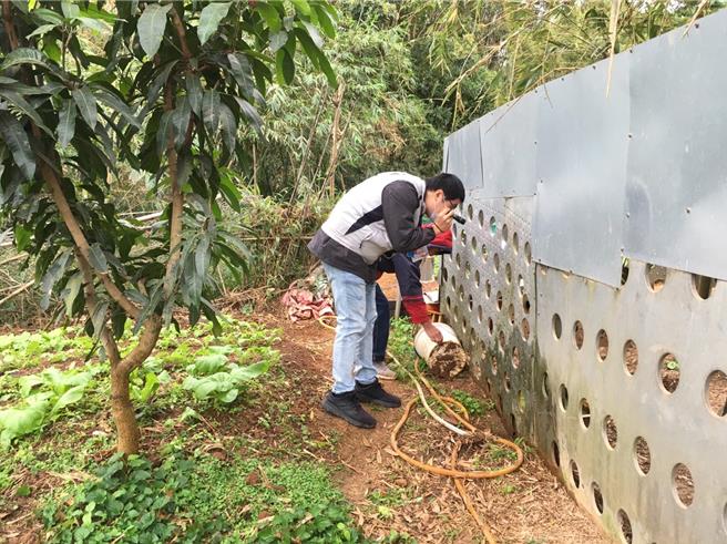 新北市卫生局今（24）日宣布新增5例本土登革热病例，提醒民眾仍需注意持续清理孳生源。（新北市卫生局提供）