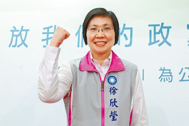 新竹县一选区国民党参选人徐欣莹。（罗浚滨摄）