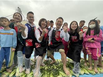 桃園平鎮農會「世芥客家菜」千人踩酸菜趣味體驗