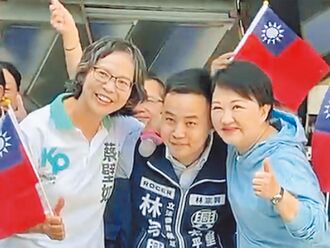 卢秀燕辅选蔡壁如 蓝委称特例