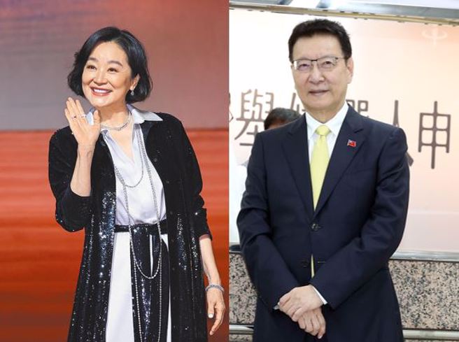 左为台湾文艺片传奇巨星、金马影后林青霞、右为国民党副总统参选人赵少康。(资料照)