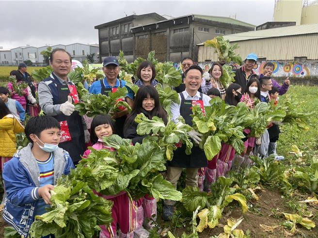 桃園市平鎮區農會26日舉辦「2023世芥客家菜」活動，副市長蘇俊賓（前排左四）與南勢國小學童體驗採芥菜。（呂筱蟬攝）