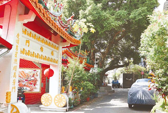 树龄逾250年长庆榕树是文化小旅行的文化点之一。（臺北市政府观光传播局提供）