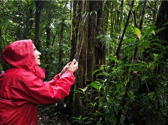 COP28將登場 中美聯手「氣體峰會」 聚焦甲烷減排合作