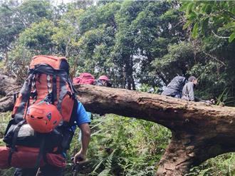 法籍男女霧頭山迷路 陸空出動大隊人馬協尋