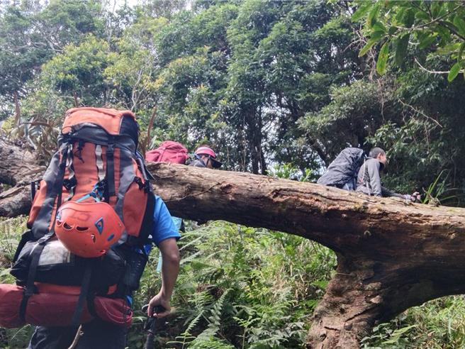 屏東霧頭山傳出有山友迷路，警消後獲報上山協尋。(屏縣消防局提供／林和生屏東傳真)