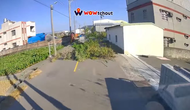 太夸张！小货车载大树拖整路，树丛占车道「沿路扫街」。（ 图／ 翻摄自「WoWtchout-地图型行车影像分享平台」）