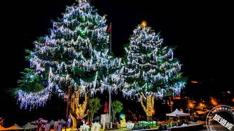 全台海拔最高聖誕樹將亮燈 「山谷燈光節」試燈遊客搶先看！