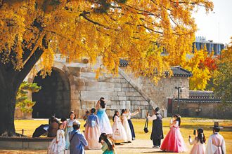 疫後搶客 明年起遊韓退稅翻倍至12萬台幣