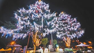 台中 山谷燈光節 11／30點亮海拔最高耶誕樹