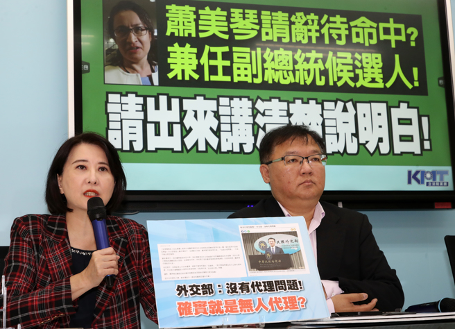 國民黨立法院黨團副書記長王鴻薇（左）、首席副書記長李德維（右）28日召開「蕭美琴請辭待命中？兼任副總統候選人！請出來講清楚說明白！」記者會。（劉宗龍攝）