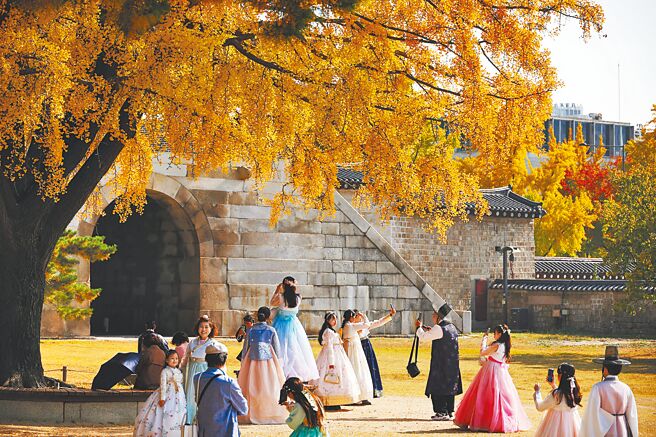南韩政府为刺激旅游业，明年起外国游客在韩国退税额上调至12万台币，图为穿着传统韩服的游客在首尔景福宫的银杏树旁拍照。（路透）