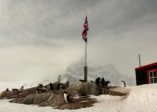 南极洲的「企鹅邮局」每年都会招募4名「邮政局长」，到岛上进行为期5个月的工作。(图/达志影像)
