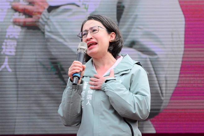 民进党副总统候选人萧美琴曾任花莲县区域立委。（示意图／中时资料照／王志伟摄）