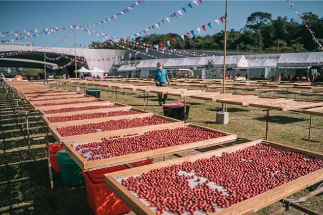 日月潭农乐园有向山饮食书坊、日月潭风土餐桌，还有全台最大的咖啡豆晒豆场，今年邀南投县24家顶尖咖啡庄园来晒豆。（鱼池乡公所提供／杨静茹南投传真）
