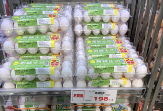 日本禽流感疫情連環爆！耶誕節將至 業者憂蛋價上漲