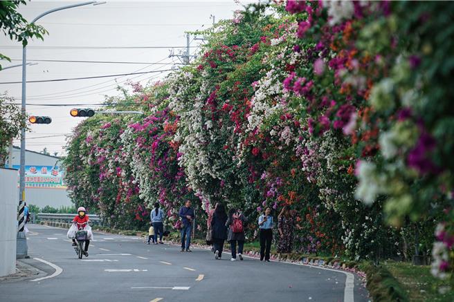 去年公所为了维持交通顺畅，在现场筑起三角锥，今年仍然会摆放，除了保护民眾安全外，也维持交通顺畅。（吴建辉摄）