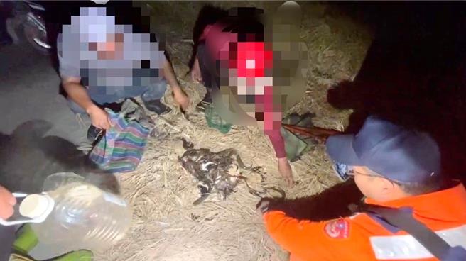 台东4名男子昨晚于都兰海域非法电捕鱼虾等水产动物，总计3.7公斤，市价约200元，海巡人员当场人赃俱获。（第13岸巡队提供／萧嘉蕙台东传真）