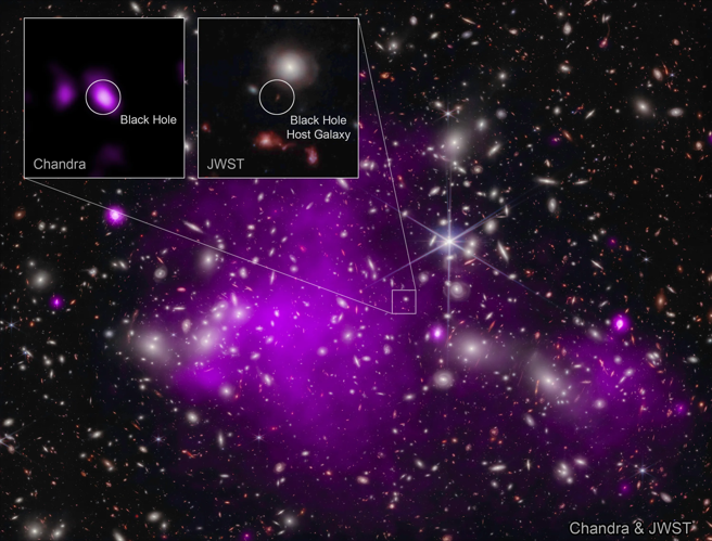 天文學家使用錢德拉和韋伯太空望遠鏡在 X 射線中發現了迄今為止最遙遠的黑洞（在一個被稱為 UHZ1 的星系中）。（X-ray: NASA/CXC/SAO/Ákos Bogdán; Infrared: NASA/ESA/CSA/STScI; Image Processing: NASA/CXC/SAO/L. Frattare & K. Arcand）