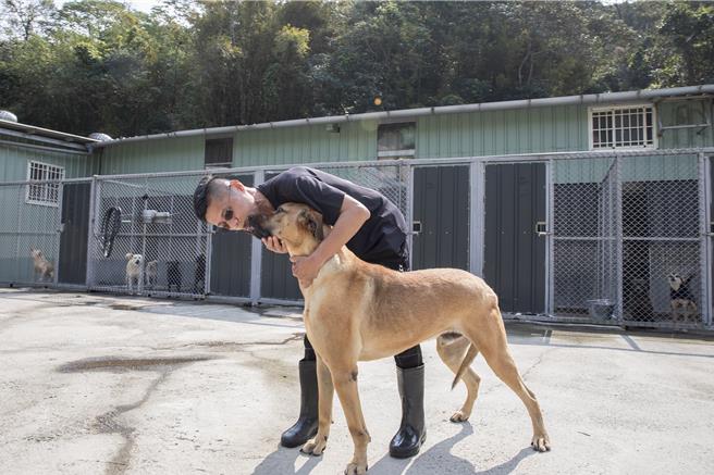 黄智坚设立「浪巢」动物转运站，用爱去照顾受虐和弃养猫狗，毛小孩都很喜欢和他亲近。（罗浚滨摄）