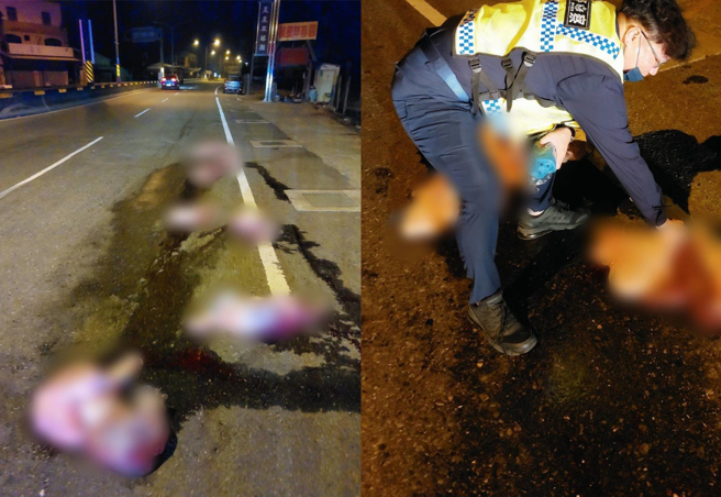 多名民眾报案指中潭公路福龟路段沿路满地肉块、内臟与血水，令人触目惊心，怀疑是车祸或刑案现场；埔里警分局长寿派出所警员获报到场确定是乌龙，满地猪内臟，研判是货车运送过程中不慎掉落。（警方提供／杨静茹南投传真）