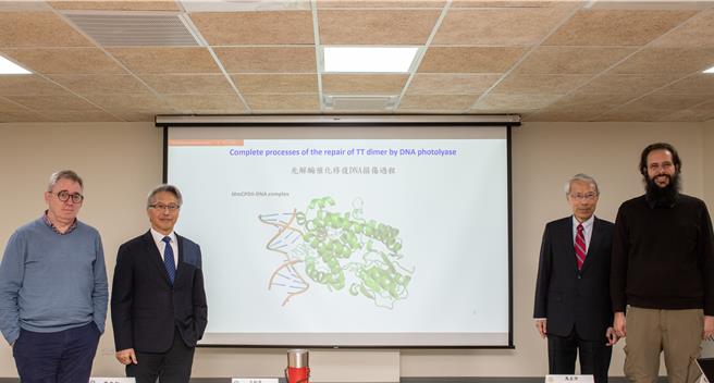 中研院解密DNA修復损伤过程，研究成果登国际期刊《Science》。照片由左至右依序为：中央研究院生物化学研究所吕桐睿(Todd L. Lowary)所长、廖俊智院长、蔡明道院士、台大化学系马左仲(Manuel Maestre-Reyna)助理教授。（中研院提供）