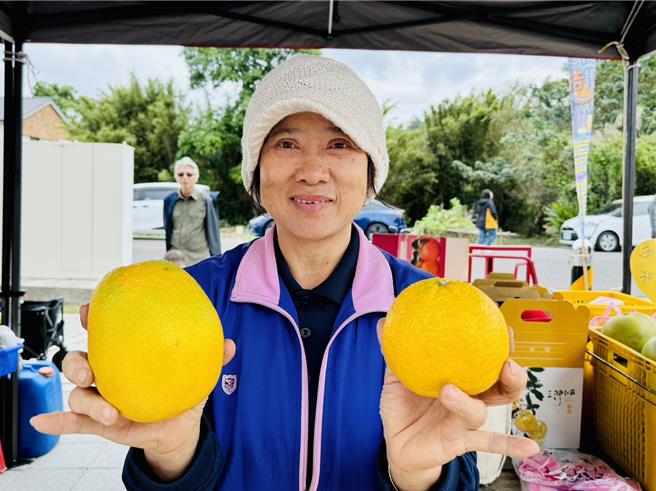 苗栗县三湾乡柑桔节活动「三湾EAT桔棒」活动2日热闹登场，柑农陈碧展示新品种日本椪柑不知火。（读者提供／谢明俊苗栗传真）