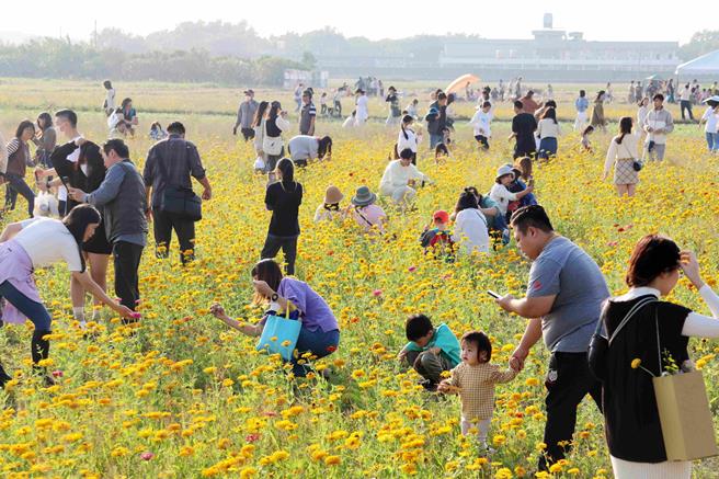 接近舞台和市集区的花海田，涌入许多民眾拍美照。（吕妍庭摄）