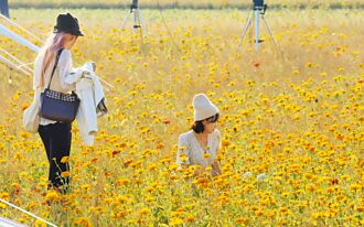 嘉市花海生活節 樂音飄揚湧人潮
