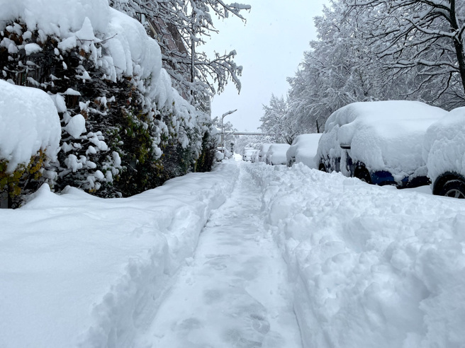 德國南部城市慕尼黑1日晚間起開始降下大雪，整排轎車覆蓋上一層厚厚白雪。（圖／路透社）