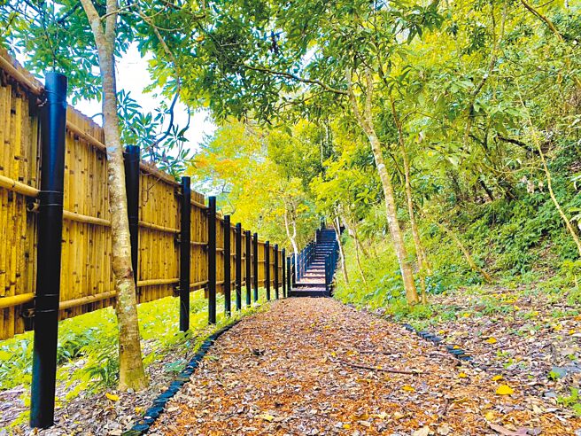 台中市观旅局2日表示，雪山坑1期步道已完工开放通行，使用粗木屑铺面呈现原始风格。（台中市观旅局提供／陈淑娥台中传真）