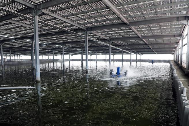 台南市漁電共生室內養殖示範案場。（市府提供／洪榮志台南傳真）
