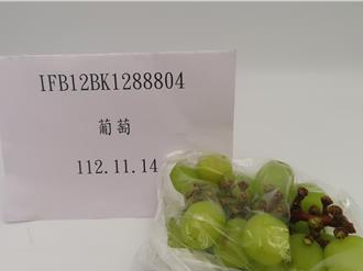 韓國葡萄2批近萬公斤驗出農藥 於邊境銷毀退運