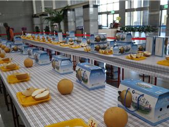 气候暖化 和平梨农弃雪梨改种甘露梨