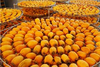 牛心柿餅賣不夠 番路鄉農會首推「筆柿餅」熱銷  今年產量加倍